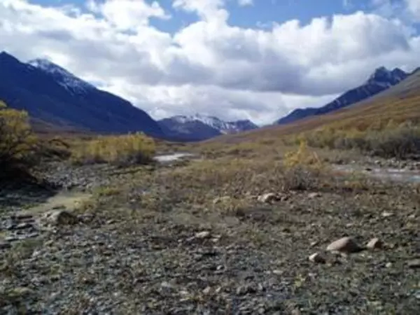 Jagdrevier in Kanadas Bergwelt