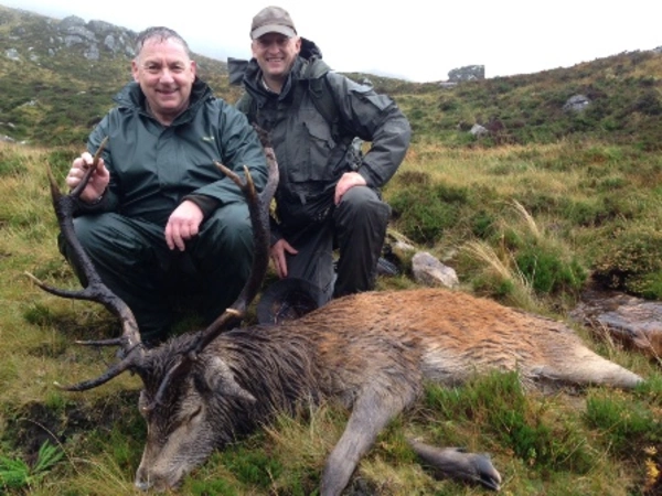 Hirschjagd in Schottland